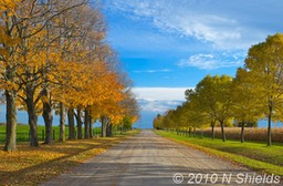 © 2010 NShields Scugog Country Rd