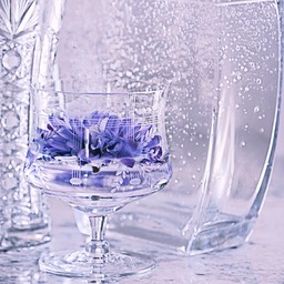 © N Shields Purple Blossom in GlassSQSM